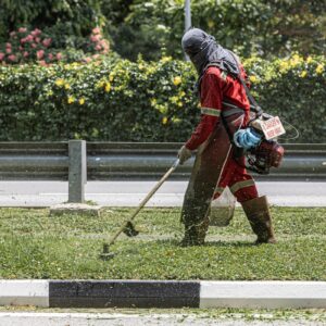 Mantenimiento de jardines públicos