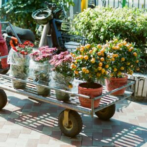 Flowers are being transported in a metal cart.